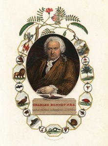 Retrato de Charles Bonnet, naturalista de Genevan.1803 (gravura) de Jens Juel