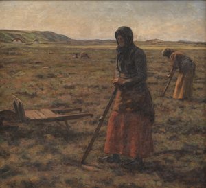 Mulheres cortam urze de Jens Vige
