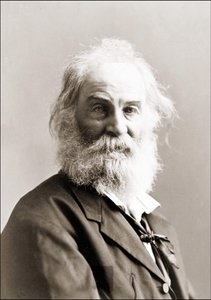 Retrato de Walt Whitman (1819 - 1892) por Gurney entre 1880 e 1890.