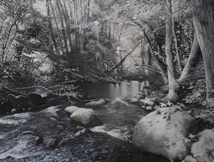 Paisagens fluviais, 2024 (óleo sobre tela) de Jerome Glomaud