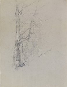 Rio Seco, 1888. de Jervis McEntee