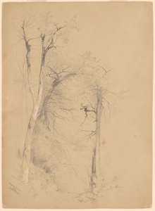 Cravo Kaaterskill de Jervis McEntee