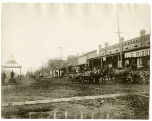 Arkansas 1903 de Jessie Tarbox Beals