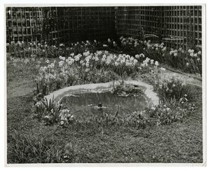 Jardim do Sr. e Sra. Wm H Wells 265 W 11th St, Nova York, EUA de Jessie Tarbox Beals