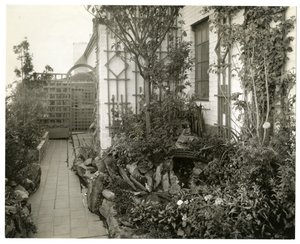 Jardim da Sra. Regina Jais, c.1936-37 (foto gelatina prateada) de Jessie Tarbox Beals