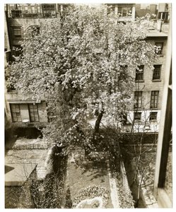 Sra. W H Wells 265 W 11th de Jessie Tarbox Beals