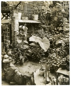 Piscina mostrando terraço Home of George and Mary Stonehill, Greenwich Village, New York, EUA, c.1936-37 (foto em prata gelatina) de Jessie Tarbox Beals