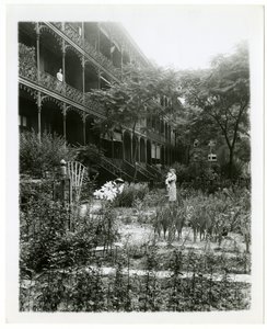 Rhinelander House gardens, W 11th St , Greenwich Village, New York, EUA, c.1905-38 (foto em prata gelatina) de Jessie Tarbox Beals