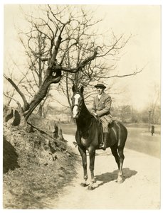 Roland Young, c.1905-27 (foto gelatina prateada) de Jessie Tarbox Beals
