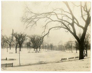 The Common, Boston, EUA, c.1902-10 (foto em prata gelatina) de Jessie Tarbox Beals