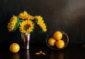  de Jie Fischer