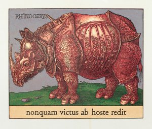 Rinoceronte Vermelho, 2007 (xilogravura) de Jim Monson