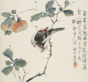 Um Hwamei chinês comendo um gafanhoto, 1857