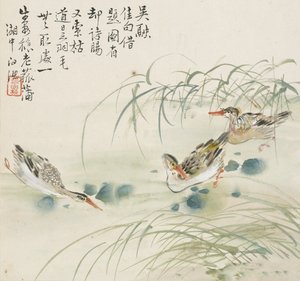 Três patos nadando em uma piscina, 1857