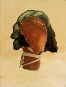 O Roupeiro Móvel (luva de cabeça)