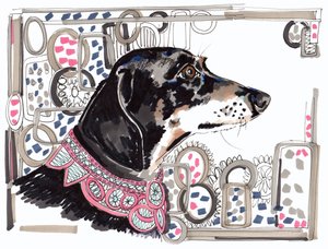 Lacey The Dachshund, 2013, (caneta, tinta sobre papel)