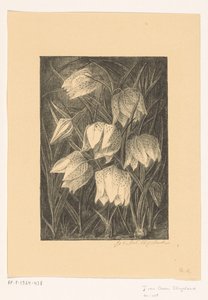 Flores de abibe de Jo van Oosten Slingeland (signed by artist)