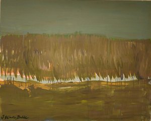 Vasta paisagem pantanosa de Joackim Schou Dahle