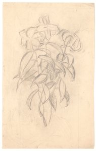 Estudo de flores de Joakim Frederik Skovgaard