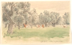 Paisagem grega com oliveiras e pastoreio de gado corado de Joakim Frederik Skovgaard