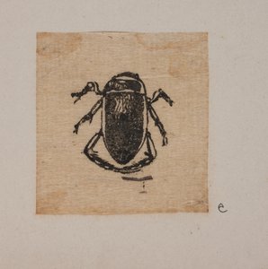 Inseto de Joakim Frederik Skovgaard