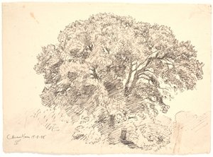 Estudo das árvores. Jardim de Classen de Joakim Frederik Skovgaard
