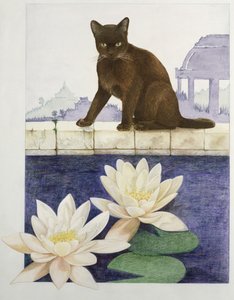 birmanês