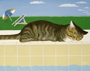 Gato malhado por uma piscina