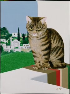Gato malhado na janela