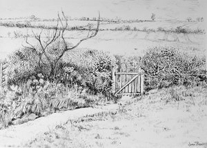 Portão Cottage e Ver Além, 2015, (caneta e tinta) de Joan Thewsey