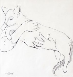 Gato fofinho, 2000, (lápis) de Joan Thewsey