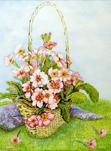 Prímulas-de-rosa em uma cesta de floristas com um lenço de Paisley, 2010, aquarela de Joan Thewsey