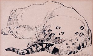 Esboço, leopardo, zoológico de Londres 2005, (caneta e tinta) de Joan Thewsey