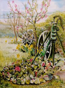A bomba de jardim, 2010, aquarela de Joan Thewsey
