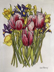 Tulipas, Daffodils e Iris