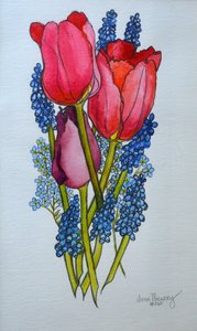 Tulipas, Muscari e Miosótis, 2002, de Joan Thewsey