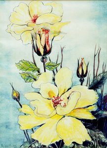 Rosa amarela em uma brisa de Suffolk, 2005, (cor de água) de Joan Thewsey
