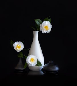  de Joanna W