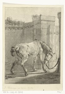 Um cavalo amarrado a um poste