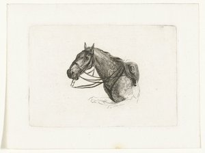 Cabeça de cavalo para a esquerda
Cabeças de cavalo para Dirk Langendijk (título da série) de Joannes Bemme