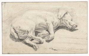 Cão deitado, dormindo de Joannes Fijt (attributed to)