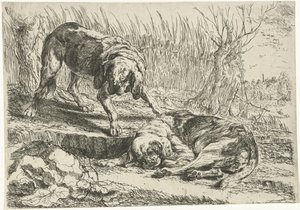 Dois cachorros Cães (título da série)