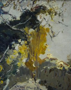 Árvore de Joaquim Mir i Trinxet