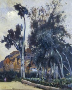 Miravet de Joaquim Mir i Trinxet
