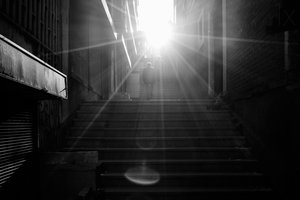 Para cima, em direção à luz de Jochen Bongaerts