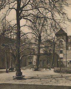 Sob os olmos no pátio do Middlesex Hospital, c1935. de Joel