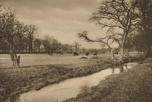 Onde Beverley Brook serpenteia através do parque de caça real de Richmond, c1935.