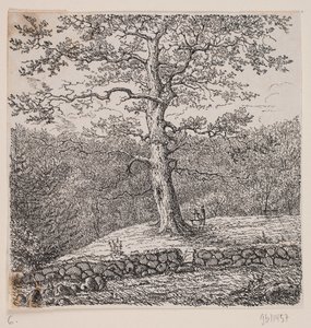 Carvalho de Niels Ebbesen em Nørreris de Johan Aagaard