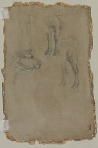 Estudos de um touro, 1864. de Johan Barthold Jongkind