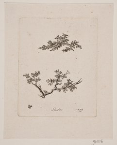 Para trægrene de Johan Bülow
